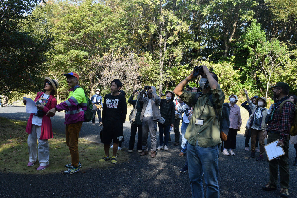 双眼鏡を手に立ち木に止まった野鳥を観察する参加者＝３日、浜松市西区の浜名湖ガーデンパーク