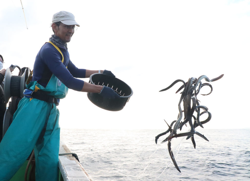 浜名湖で採捕したニホンウナギを沖合に放す会員＝２１日午後、浜松市の遠州灘（代表撮影）