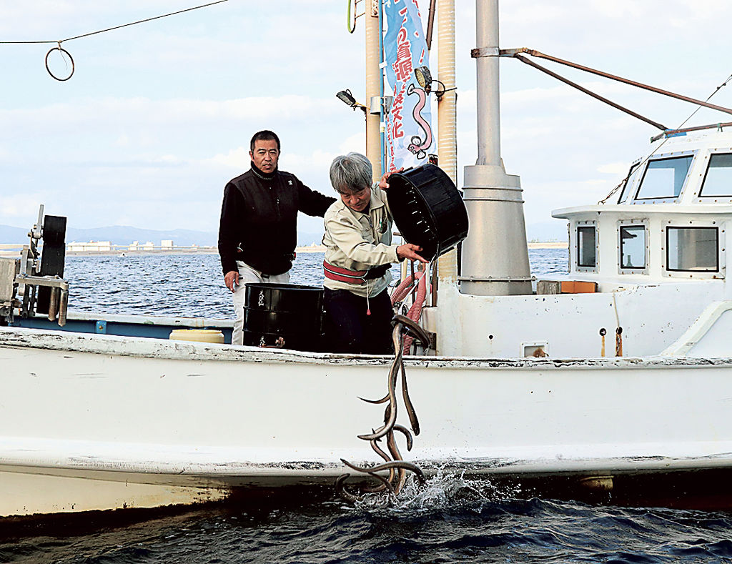 浜名湖で採捕したニホンウナギを沖合に放す会員＝２１日午後、浜松市の遠州灘（代表撮影）