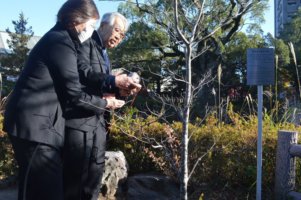 ハナミズキに献水する菅野寛也さん（奥）と妻雍子さん＝８日午後、静岡市葵区の静岡浅間神社