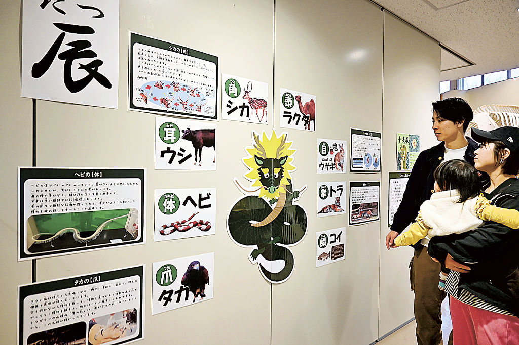 竜の体を解説する企画展＝静岡市駿河区の日本平動物園