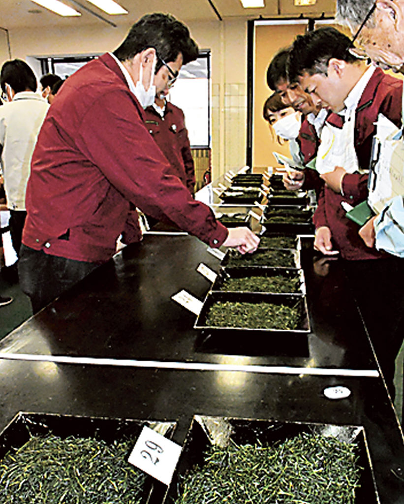 出品された本山茶の品質を確認する審査員ら＝１３日午前、静岡市葵区の静岡茶市場