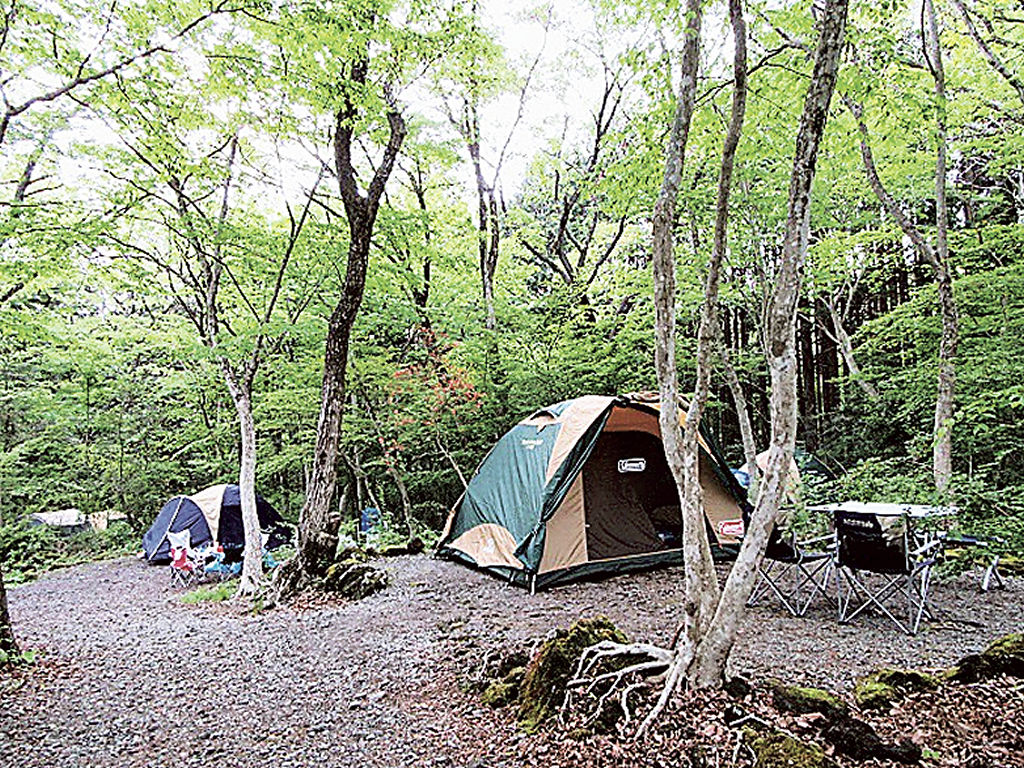 木々に囲まれ、ゆったりとした時間を過ごせる丸火自然公園グリーンキャンプ場＝富士市