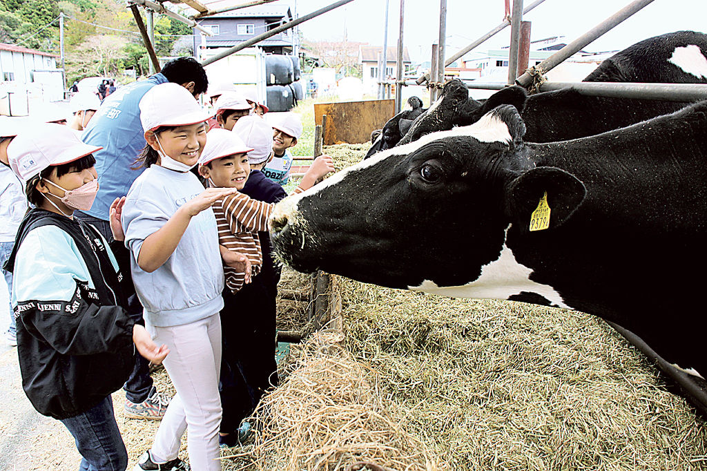 乳牛に手を伸ばす子どもたち＝伊豆の国市の大美伊豆牧場