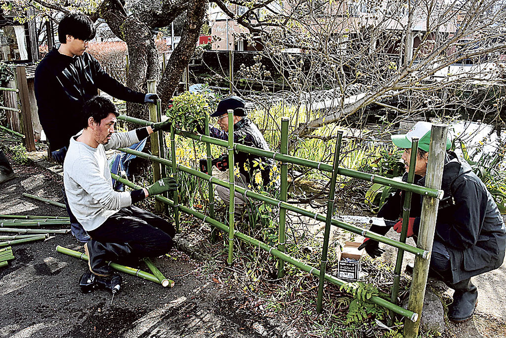 竹垣を新調するメンバー＝三島市南本町の三島梅花藻の里
