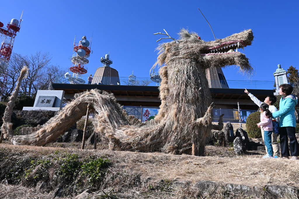 茶草で制作した竜＝掛川市東山の粟ケ岳山頂