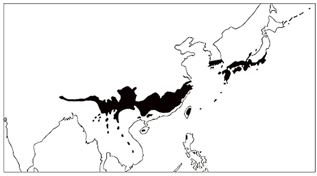 東アジアの南部に広がる照葉樹林域（「しずおかの文化新書　植物の富士登山」より）