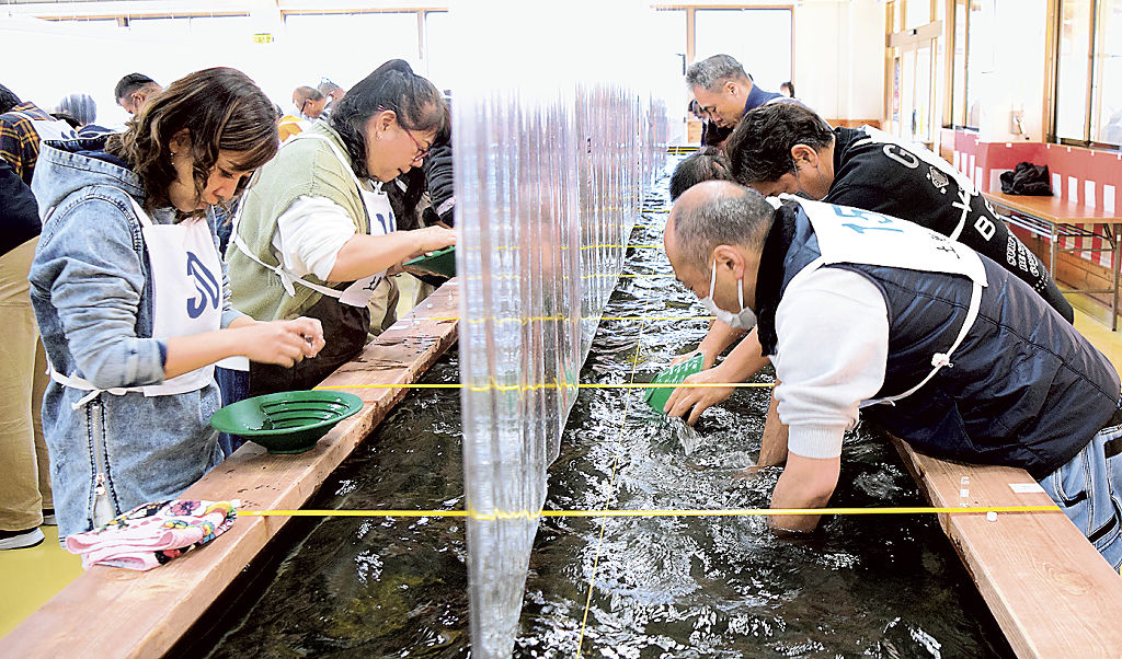 砂金採りに励む参加者＝伊豆市の土肥金山