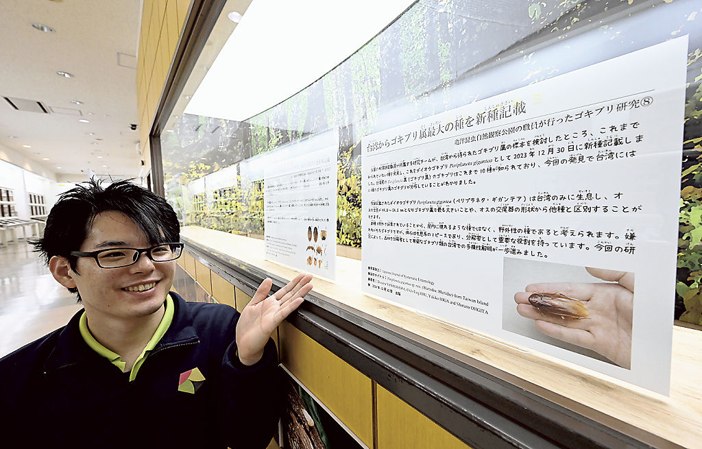 柳沢静磨さんが発見したダイオウゴキブリとヒメルリゴキブリを紹介するパネル＝２４日、磐田市大中瀬の竜洋昆虫自然観察公園