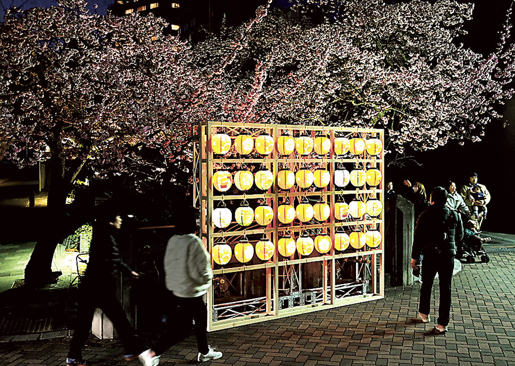 ライトアップされた「あたみ桜」の花見をＰＲする熱海桜夜会＝熱海市の糸川遊歩道