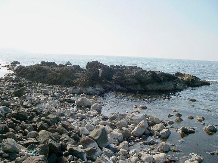 化石を調べた石川県輪島市の海岸＝２０１１年４月（平松良浩・金沢大教授提供）