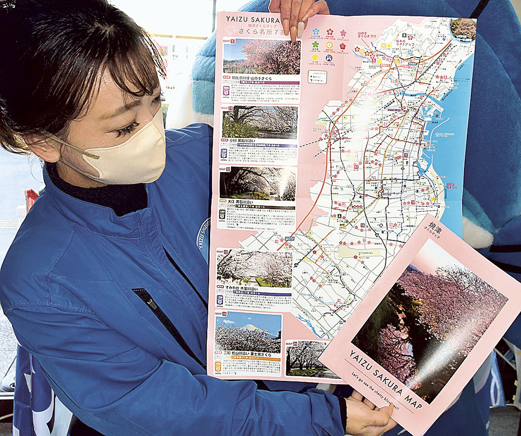 焼津市内の桜スポットをまとめたマップ＝焼津市の市観光協会