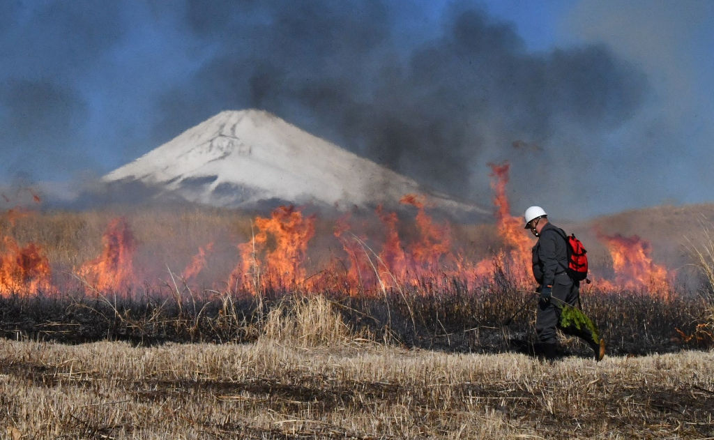 東富士演習場の野焼き作業で勢いよく燃え広がる炎＝３日午前、裾野市