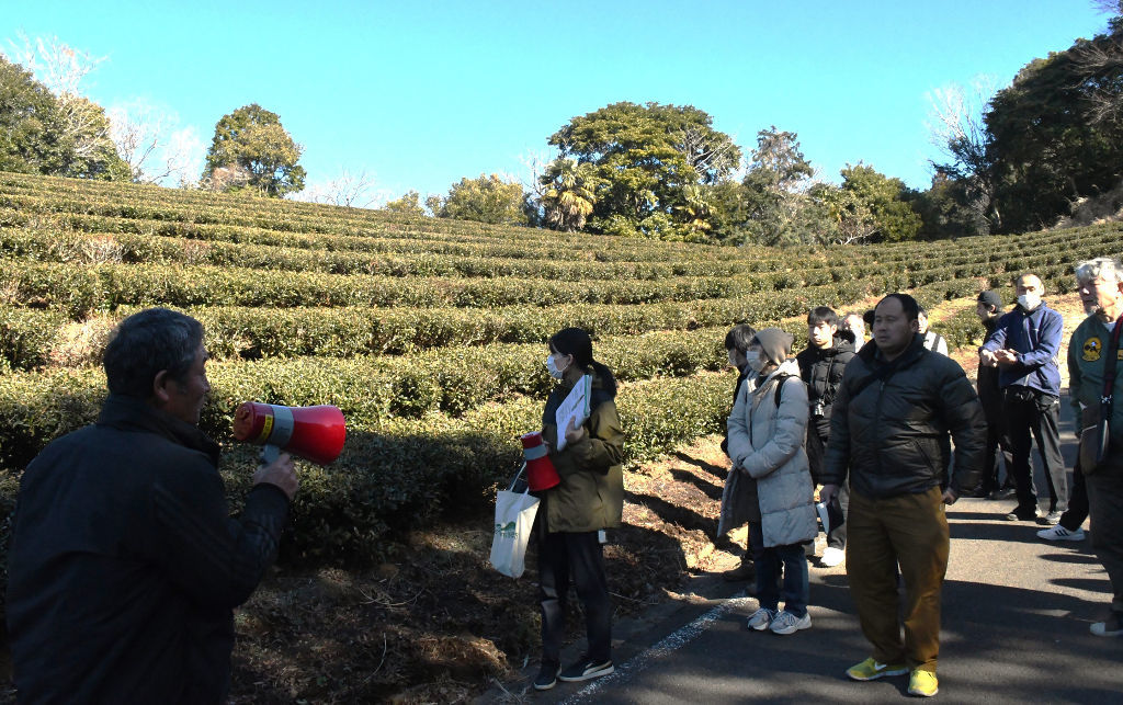 生産者や茶商ら約４０人が参加した有機栽培茶園の現場視察会＝１月２６日、富士市