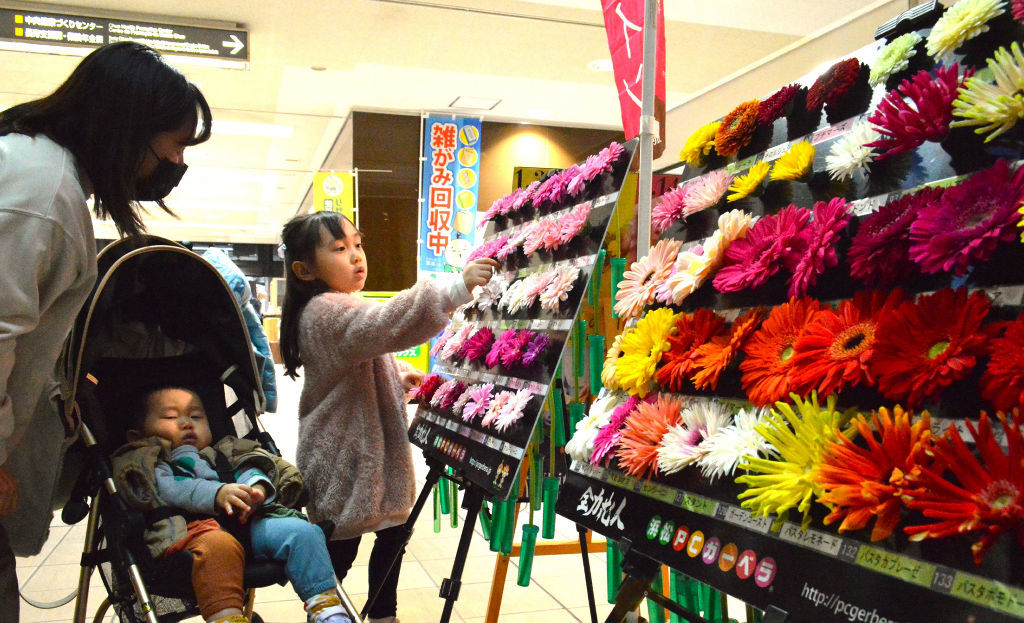 色とりどりのガーベラが並ぶパネル展示＝浜松市役所１階ロビー