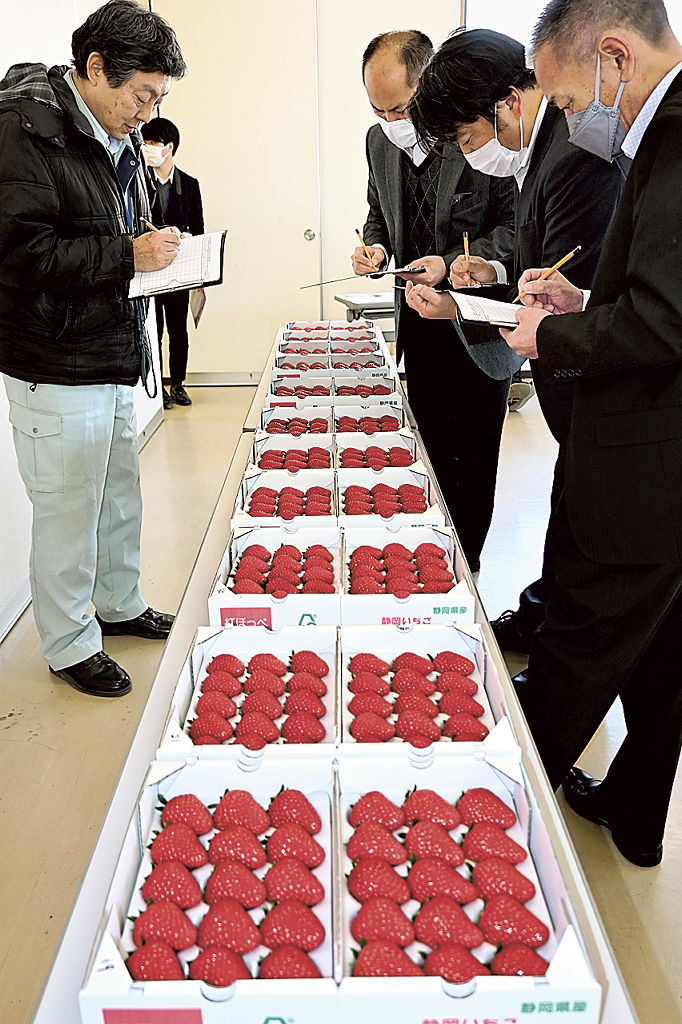 品評会で並んだイチゴを評価する審査員＝掛川市三俣