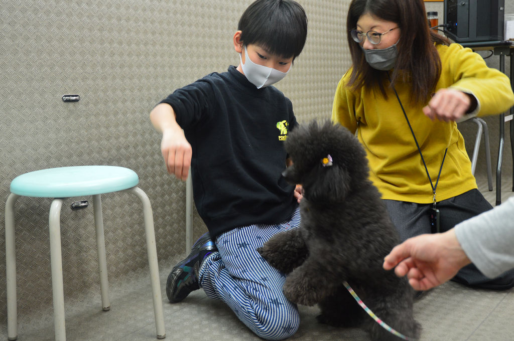 犬をしつける児童＝浜松市中央区の専門学校ルネサンス・ペット・アカデミー