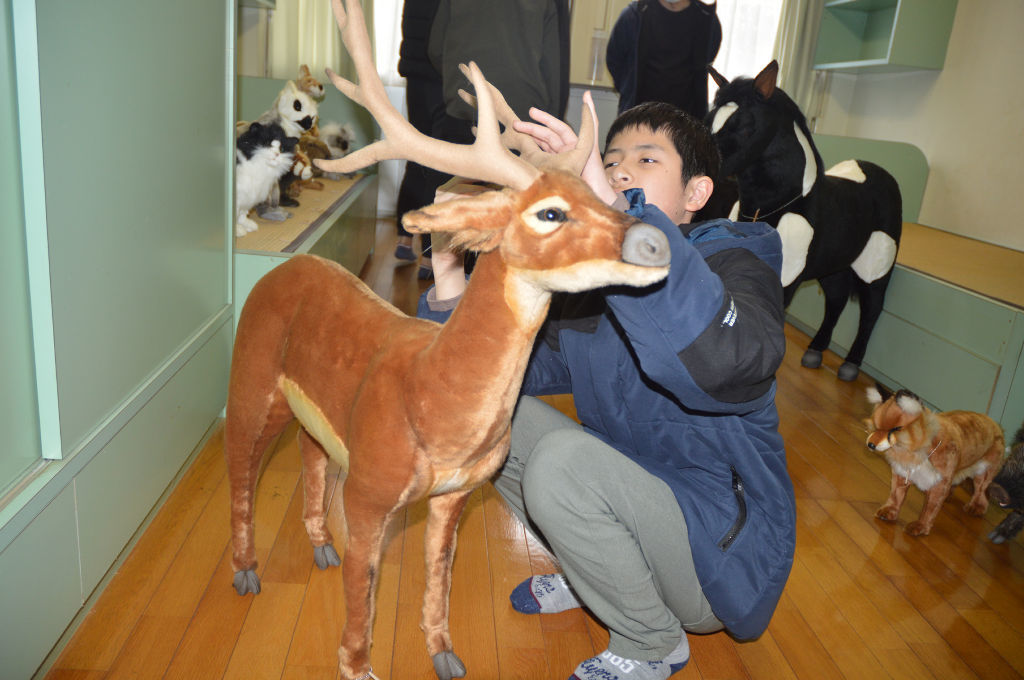 本物そっくりの動物に触れる児童ら＝浜松市中央区の県立浜松視覚特別支援学校