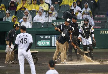 雨の中行われたプロ野球クライマックスシリーズ第２戦の試合途中、グラウンドを整備する阪神園芸のスタッフ＝２０１７年１０月、兵庫県西宮市の阪神甲子園球場