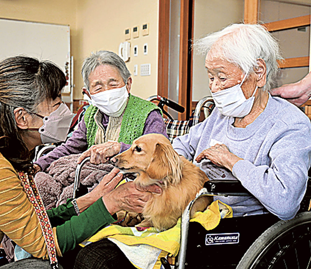 犬と触れ合う利用者ら＝磐田市下野部の介護老人福祉施設「梅香の里」