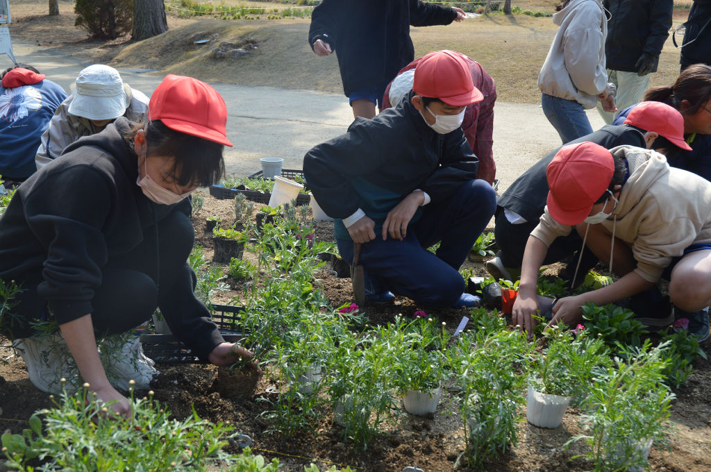 花壇に苗を植える児童＝浜松市中央区の浜名湖ガーデンパーク