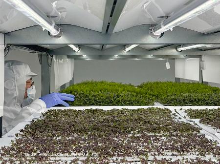 森久エンジニアリングがビジネス支援を始めた小型の植物工場＝２月、兵庫県赤穂市（一般社団法人Ｗｉｔｈ　Ｙｏｕ提供）