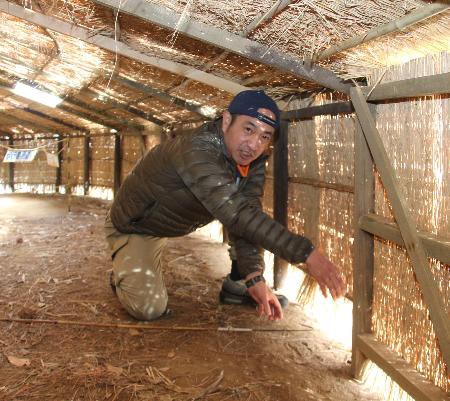 「鳥屋」でウミウ捕獲の様子を再現する篠木拓さん＝２月、茨城県日立市
