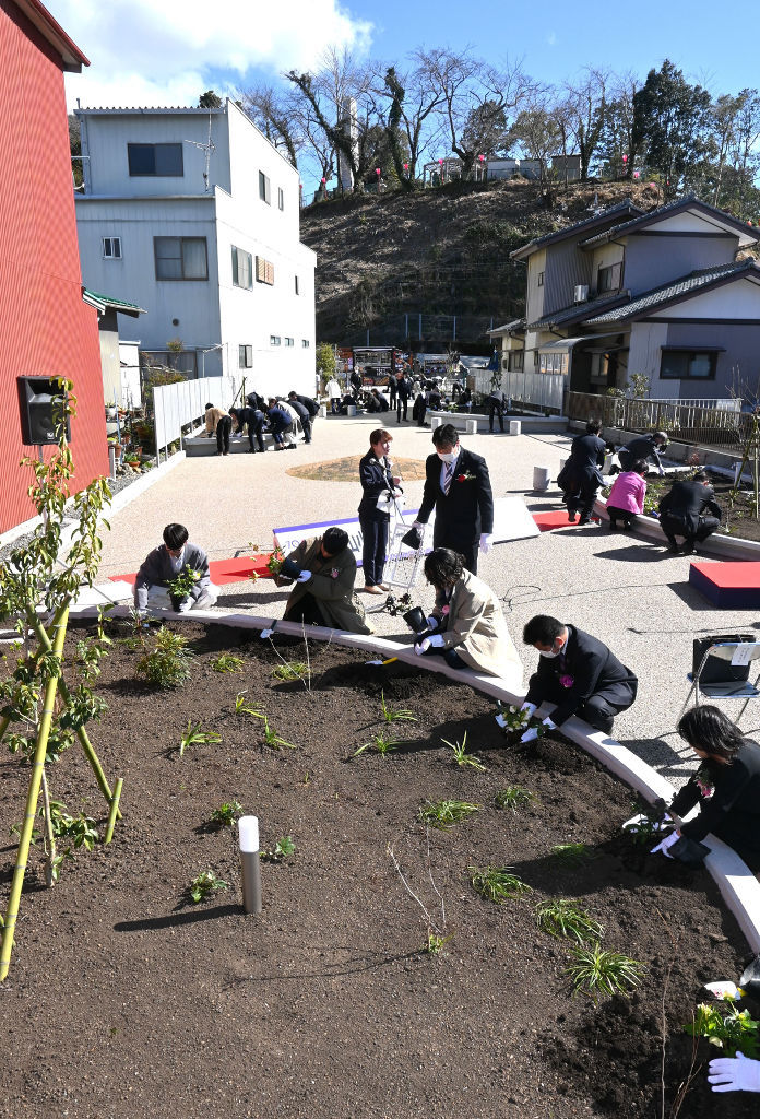 供用開始した岡出山小路でクリスマスローズを植栽する関係者＝藤枝市内