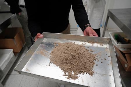 コオロギを使って製造した粉末＝２月２３日、イタリア・モンテカッシアノ（共同）