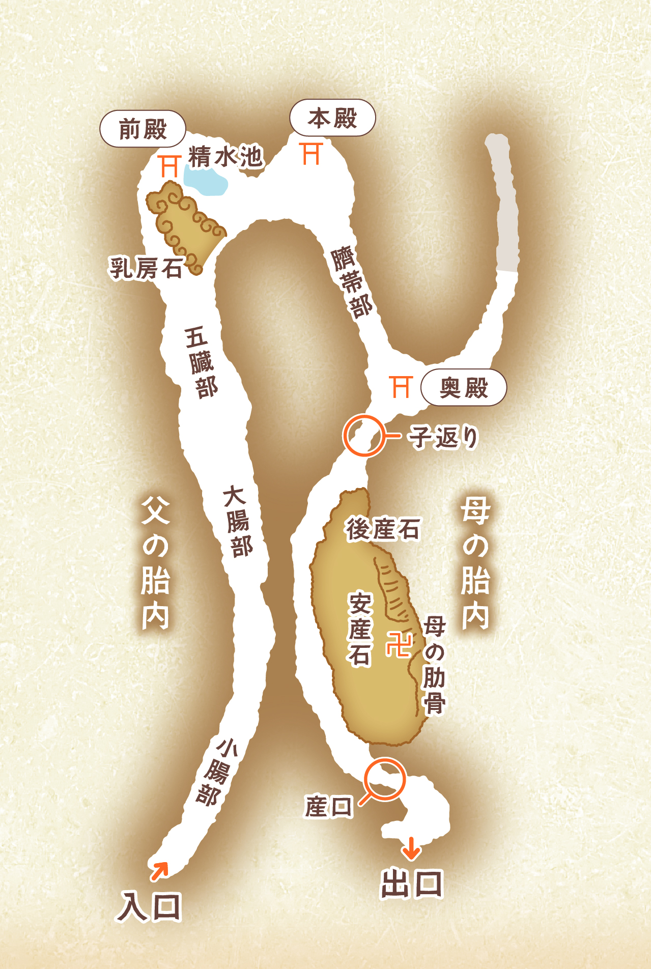 御殿場市印野地区で探検！霊峰の“胎内” 御胎内清宏園、噴火が生んだ