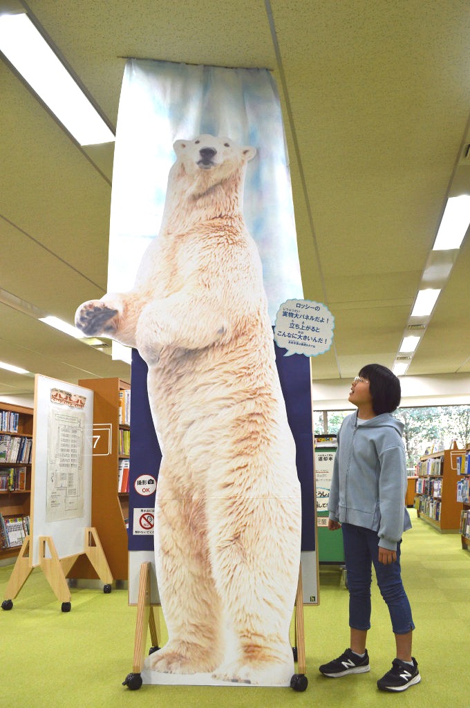 実寸大のロッシーを見上げる来館者＝静岡市葵区の市立中央図書館