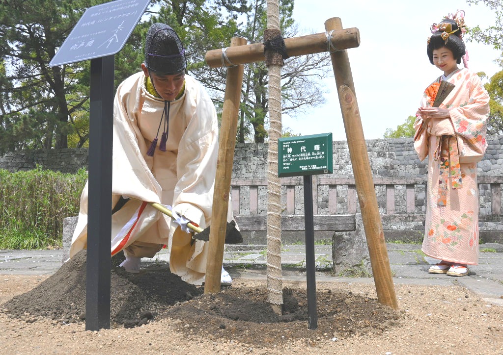 桜の記念植樹を行った宍戸さん（左）＝静岡市葵区の駿府城公園