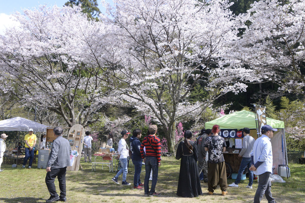 桜が咲き誇る会場に並ぶ販売ブース＝浜松市天竜区春野町