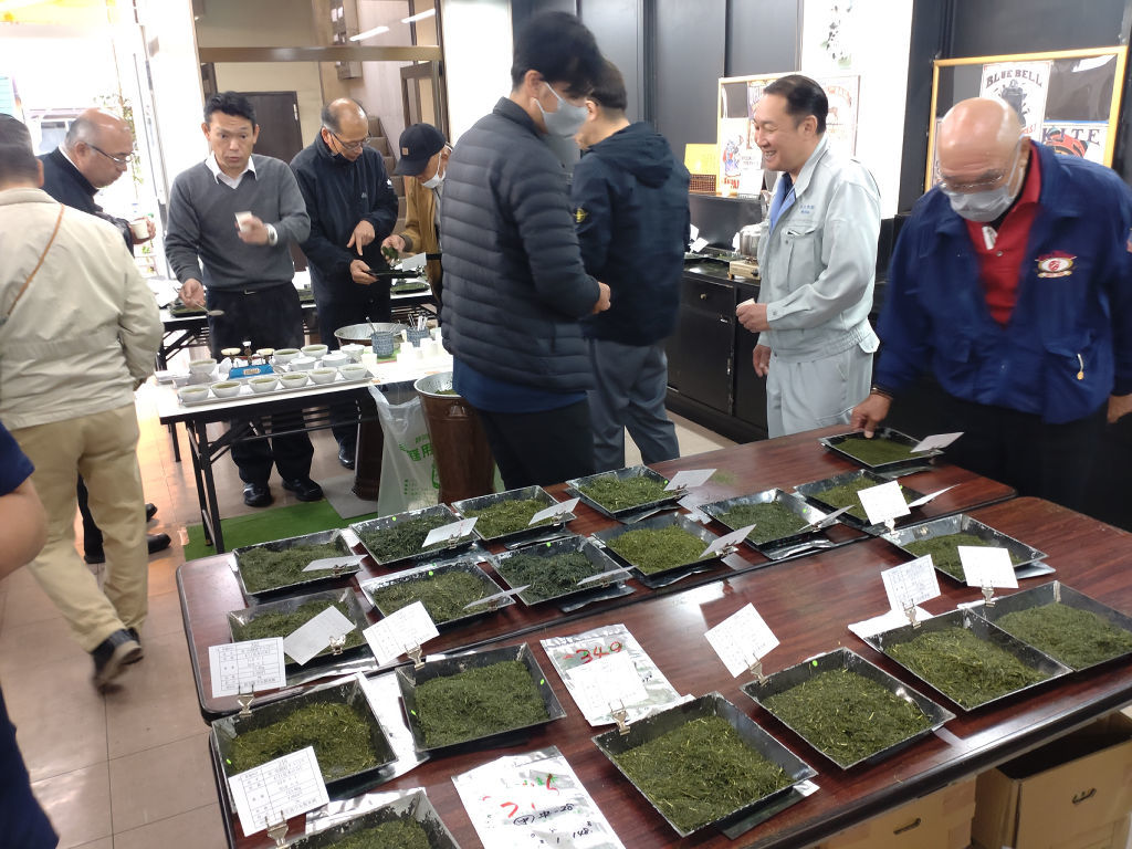 約４０点の見本が並んだ鹿児島県産の新茶初取引会＝１１日午前、静岡市葵区