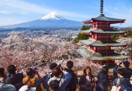 五重塔がある「新倉山浅間公園」で、富士山をバックに見頃を迎えた桜並木。多くの観光客でにぎわっていた＝１３日午前、山梨県富士吉田市