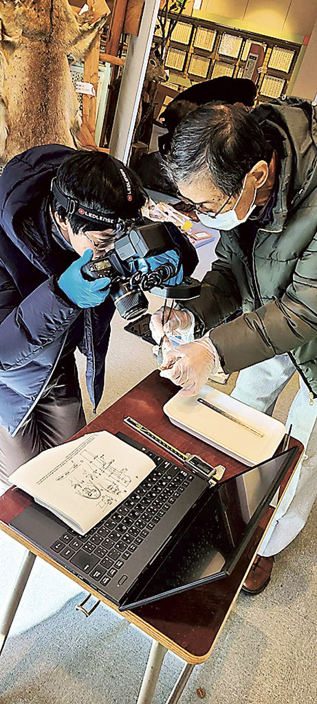 アカイシサンショウウオの標本を調査する岡宮久規主任研究員（左）と鈴木正文さん（川根本町提供）