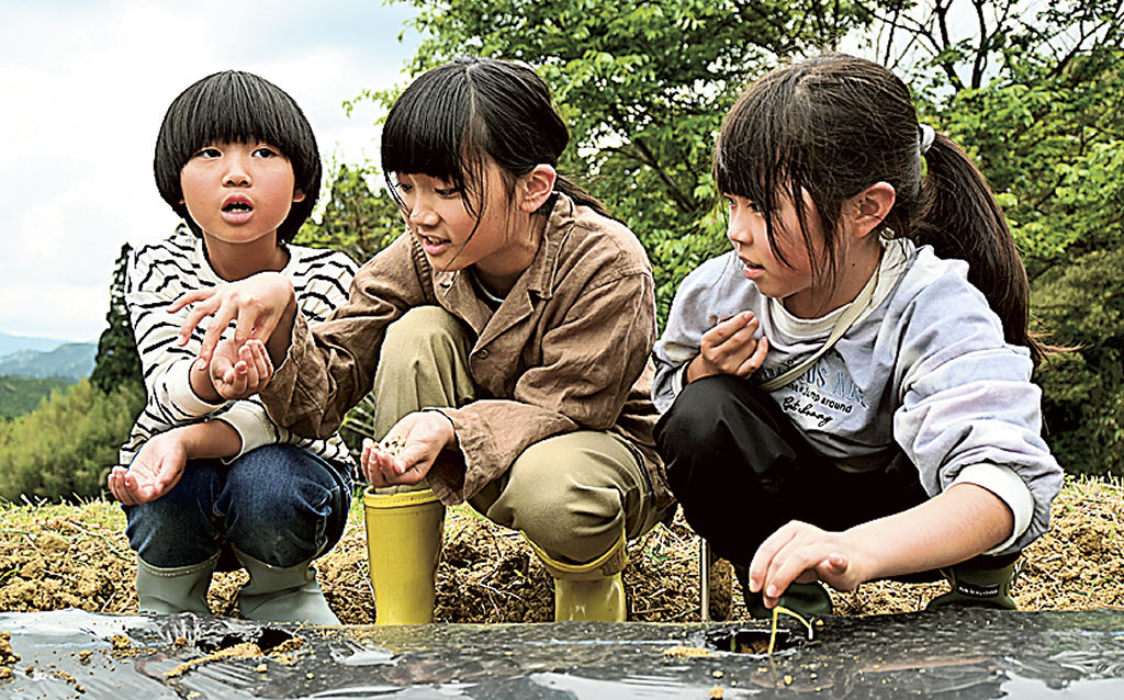 綿花の種まきを体験する子どもたち＝浜松市浜名区引佐町の久留女木の棚田