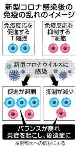 新型コロナ感染後の免疫の乱れのイメージ
