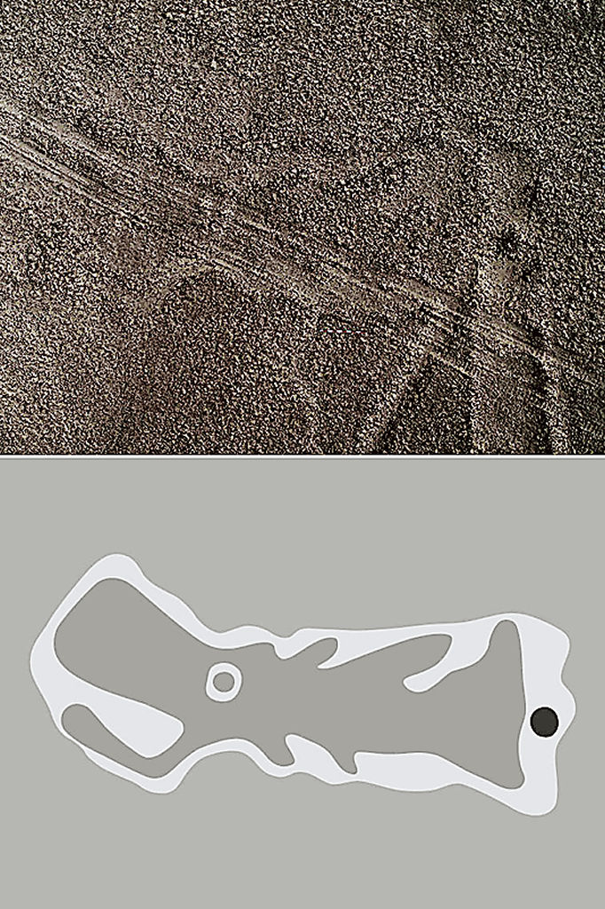 ＡＩの活用で発見された魚を描いた地上絵（上）と、その模式図（山形大ナスカ研究所提供）