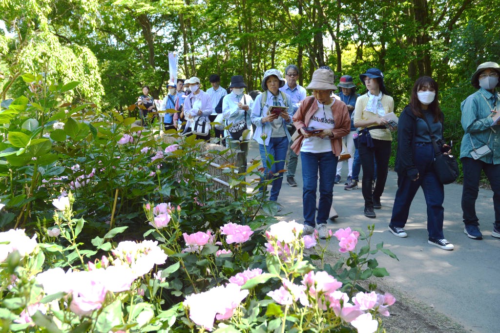 多種多様なバラの匂いや形を楽しむ参加者＝浜名湖ガーデンパーク