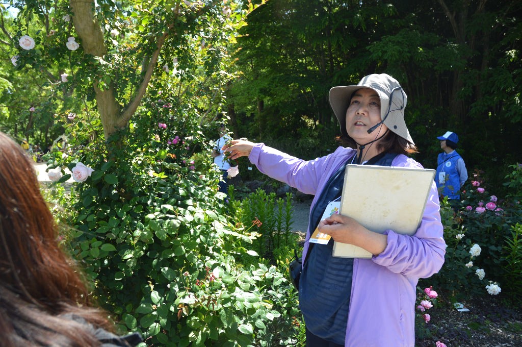 バラの特徴について解説する稲岡さん＝浜松市中央区の浜名湖ガーデンパーク