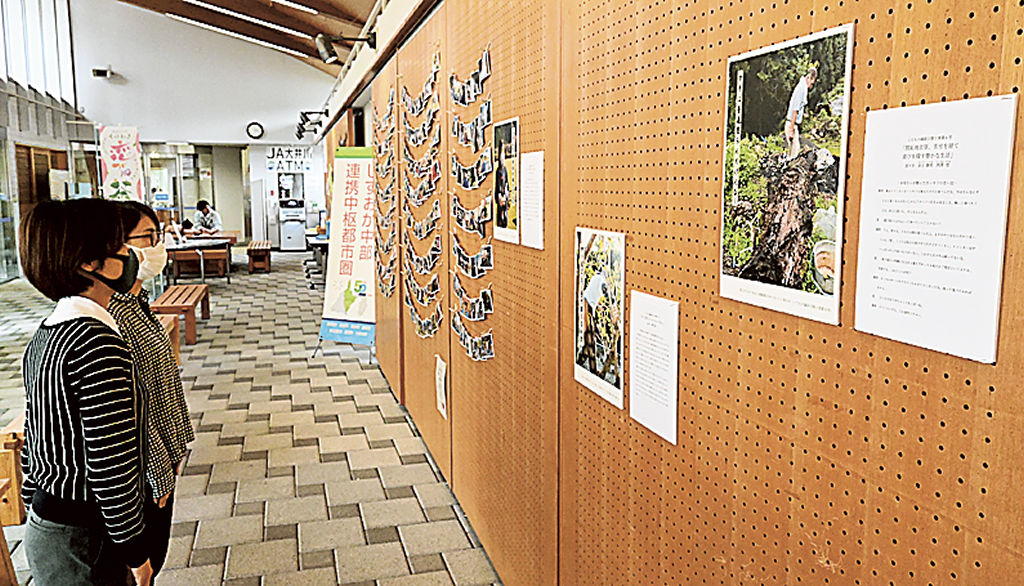 井関さんが静岡大生のころに製作した冊子「くだものの縁結び」の展示＝川根本町役場の町民ギャラリー