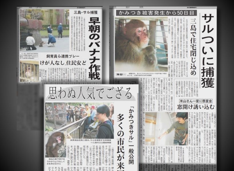 118人被害の連続襲撃事件…あの「かみつきザル」は今？ 15年後の姿