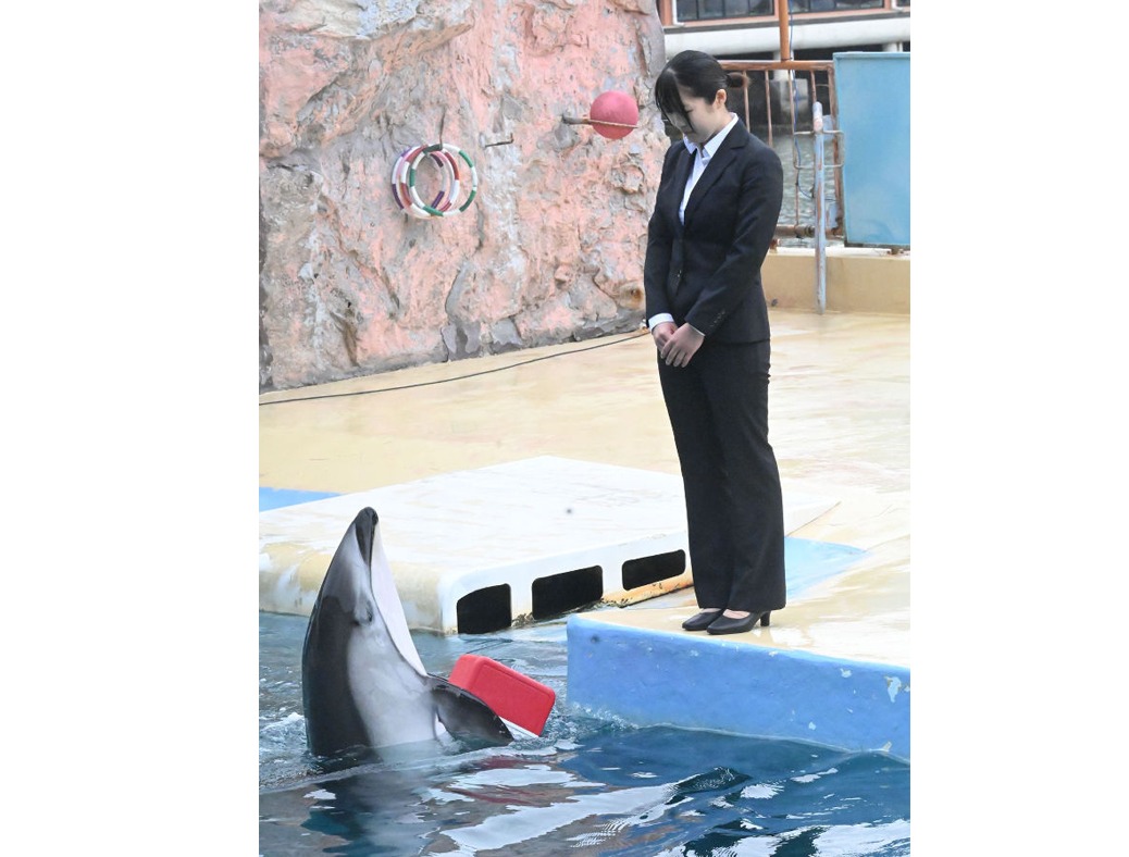 イルカ先輩
