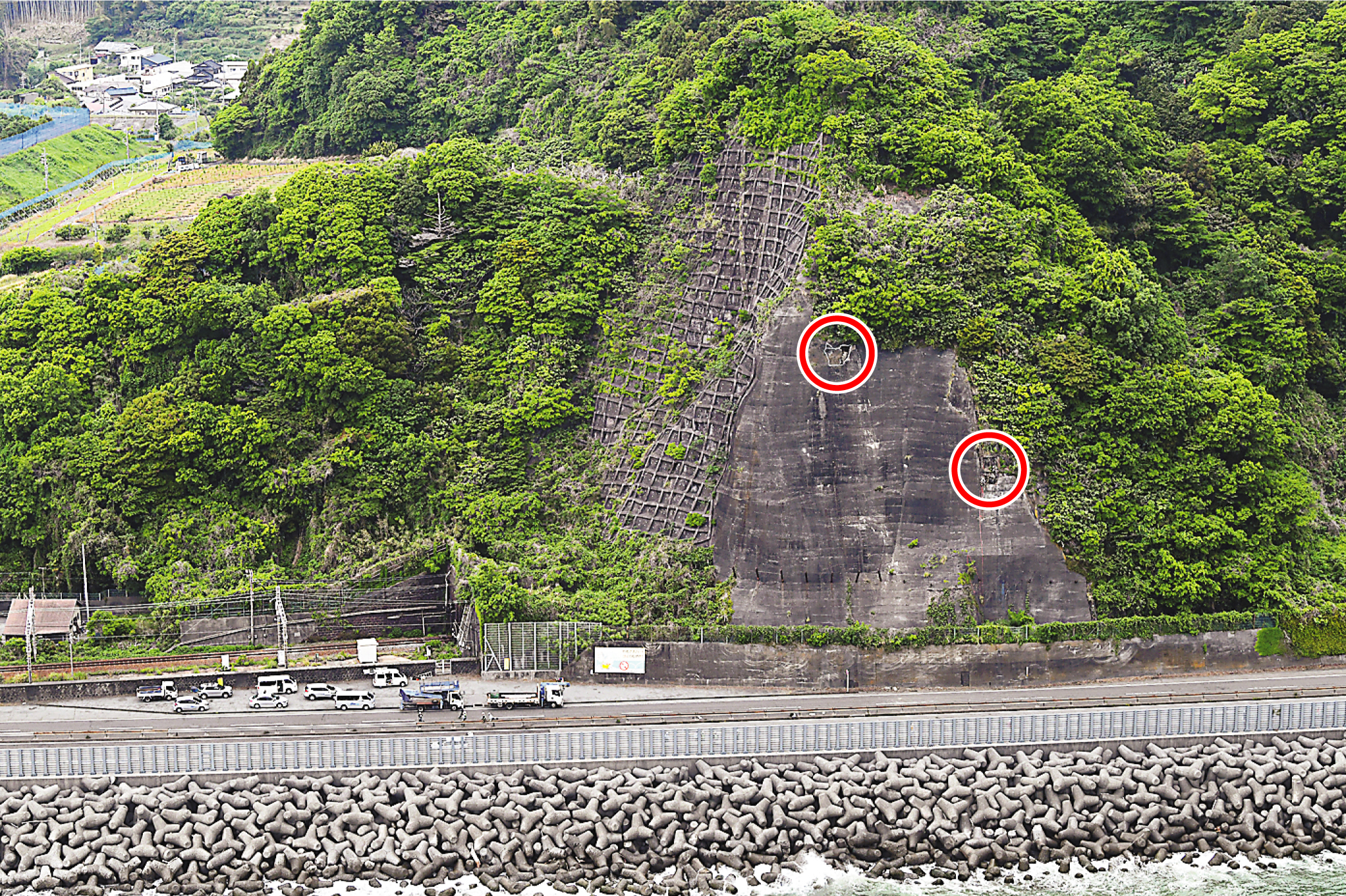 活動歴および当時の関連ビジュアル記録