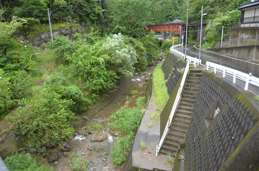 球磨川支流の漆川内川。本流から水が流れ込み、頻繁に浸水する地域の一つで、道路や住宅（右）はかさ上げされている＝７月２０日、熊本県芦北町