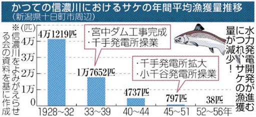 かつての信濃川におけるサケの年間平均漁獲量推移
