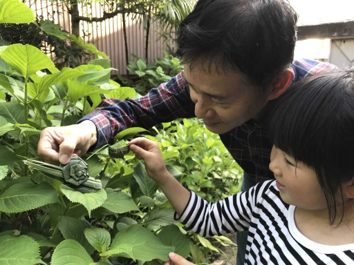 シュロの葉で作ったカタツムリとバッタ