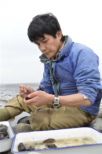 川底の石に付いた底生生物をピンセットで採取する篠田授樹さん＝４月中旬、富士川下流