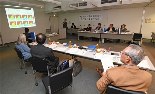 研究会延期も議論 さまざまな角度から サクラエビ不漁 追究 あなたの静岡新聞